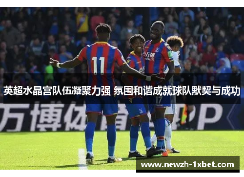 英超水晶宫队伍凝聚力强 氛围和谐成就球队默契与成功