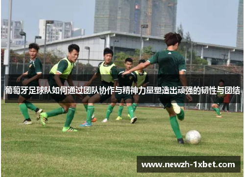葡萄牙足球队如何通过团队协作与精神力量塑造出顽强的韧性与团结