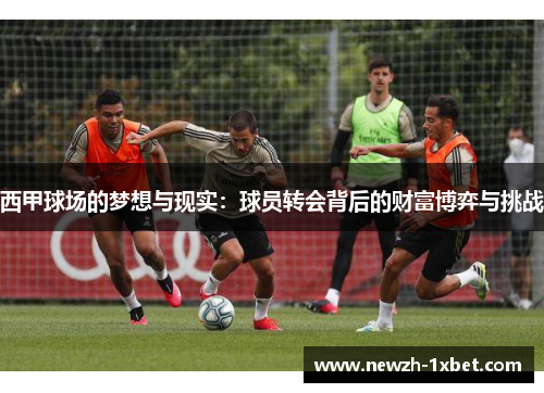 西甲球场的梦想与现实：球员转会背后的财富博弈与挑战